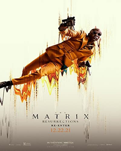 The Matrix Resurrections Poster, 30 x 40 cm