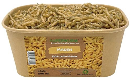 500ml Maden | 100% kompostierbare Köderdose - hoch aktive Angelköder - Lebendköder - Fleischmaden - Maden