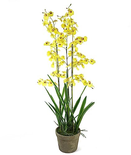 Leaf Design UK Realistic Artificial Orchid Flower Display in Pot, 105cm, 105cm Oncidium Yellow