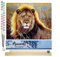 Figured'Art Peinture par Numéro Adulte Lion dans la savane - Activité Manuelle Kit de Loisir Créatif DIY Numéro d'Art Complet - 40x50cm avec châssis en bois à monter
