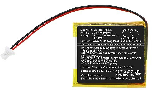 CS myHome 010036 6151 9.754-766.0 Batterie de rechange haute capacité pour appareil photo Karcher VC 4 Cordless myHome VC 4 2000 mAh / 50,40 Wh