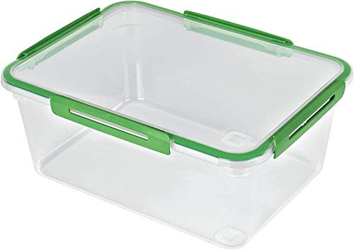 Rotho Memory grosse Frischhaltedose 5l mit Deckel, Kunststoff (PP) BPA-frei, transparent/grün, 5l (29,0 x 22,0 x 12,1 cm)