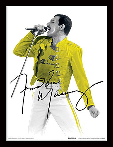 Queen Memorabilia incorniciata, Multicolore, 30 x 40 cm