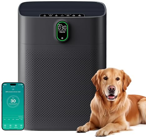 MERONTE Luftreiniger für Raucherräume, Allergikerfreundlich, HEPA Filter Gegen Staub Pollen, CADR 300 m³/h für 100 m², 24 dB Leise, Timer, Luftqualitäts-Feedback & Automodus, Schwarz, 1 Pack + 3 Modi