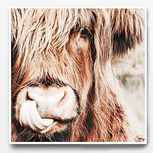 IUNTWEIE Nordic Highland Kuh Leinwand bilder Druck, Schottisches Hochland kuh Poster Wandbilder, Modern Hochlandrind Dekoration für Wohnzimmer Wohnkultur Dekor Kein Rahmen (Hochlandrind-3, 60x60)