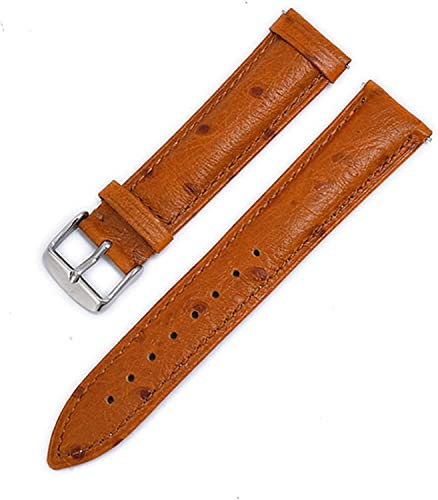 ZEDARO Uhrenarmband 18mm 20mm 22mm Leder Uhrenarmband Herren Damen Universal Soft Kalbsleder Armband Armband