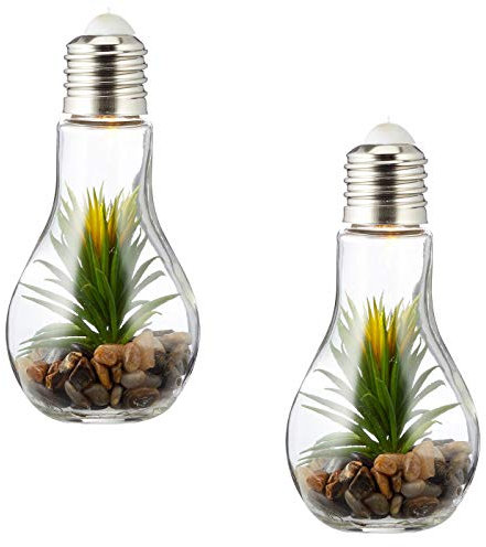 levandeo 2er Set LED Glühbirne H19cm Sukkulenten Grün Deko Lampe Kunstpflanze Hängelampe Tischdeko