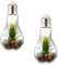 levandeo 2er Set LED Glühbirne H19cm Sukkulenten Grün Deko Lampe Kunstpflanze Hängelampe Tischdeko