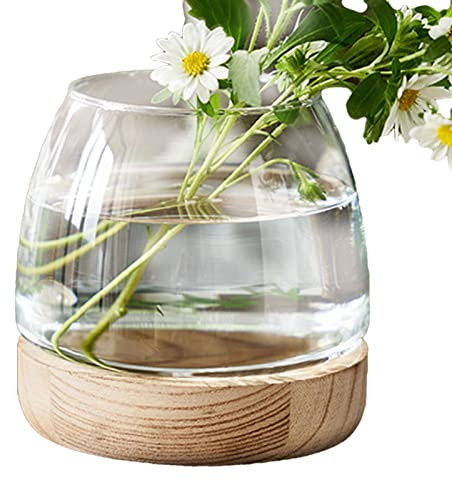 Shenrongtong hydroponiques en Verre - Réservoir Poisson en Forme Vase Transparent avec Base en Bois,Vase hydroponique en Verre, Aquarium écologique, Vase à Fleu pour Aquarium