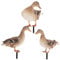 TOGEVAL 3Stücke Teiliges Garten Deko Enten Stecker Acryl Wetterfestes Gartenornament für Außenbereich Lustige Entenfiguren zur Verschönerung von Garten
