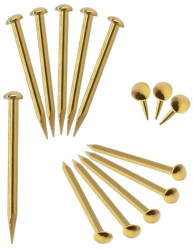 FUXXER® 100x Nägel Messing Gold Rostfrei Klein Deko Nägel, Möbel Basteln, 20x2mm