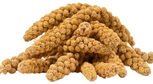 Lyra Pet® | 5 kg Kolbenhirse gelb | Ganzjähriges Vogelfutter für Ziervögel & Wildvögel | Handverlesene gelbe Hirse | Nährstoffreiche, naturbelassene Hirsekolben | Für Wellensittiche & Kanarienvögel