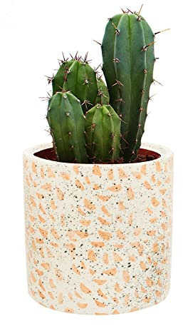 Kusso White Ceramic Plant Pot (12.7cm Tall, 10cm Opening) - Terrazzo Style Planting Pot with Orange and Black Speckled Detail, Perfect for Flowers, Cactus, Succulents, Spider Plant & More