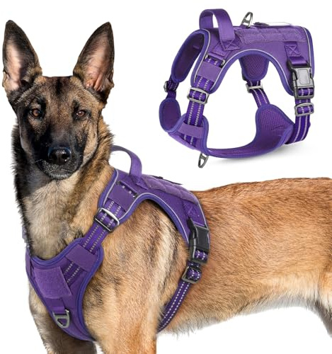 rabbitgoo Hundegeschirr Grosse Hunde Anti-Zug, XL, Lila | MOLLE-System, Heavy Duty, Sicherheitsschnallen, Weiche Polsterung, 2 D-Ringe, Reflektierend für Taktisches Hundetraining