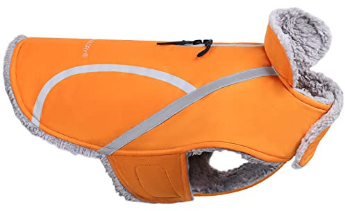 VIVAGLORY Frostfit Hundemantel, Hunde Wintermantel für Winter & Schnee, Hundejacke mit Bauchschutz & Klettverschluss, Fleece Lined Warm Softshell Reflektierend, M+, Orange