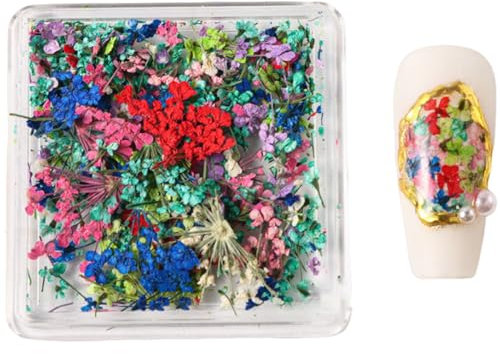 Dried Flower Nails Art Japanese Nails Supplies Nails Art Decoration For Women Girls