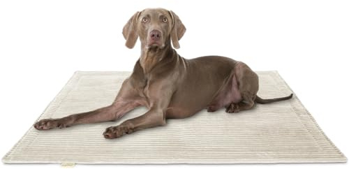Knuffelwuff Hundedecke Timor 100x70cm Beige - Bequeme und Pflegeleichte Liegedecke aus weichem Cord - waschbar - für große, mittelgroße und kleine Hunde