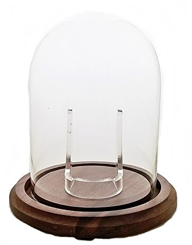Pocket Watch Glass Anzeige Dome mit Walnut Basis