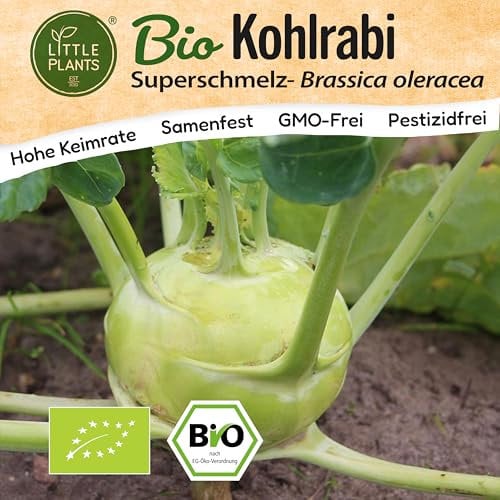 Little Plants BIO Kohlrabi Samen 100 Kohlrabisamen Superschmelz Gemüsesamen für Gemüsegarten Samenfest Gemüse Samen Salatsamen für Küche, Balkon und Garten