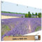 TRIOSK Sichtschutz Balkon Deko Plane Balkonblende Blickdicht mit Motiv Lavendel Blüten Blumen Feld für Garten Terrasse Gartenzaun Balkonverkleidung Blickschutz PVC groß 200x100 cm