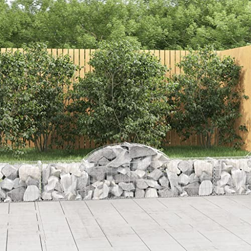AJJHUUKI Lawn & Garden-Gardening-Pots & Planters-Arched Gabion Baskets 13 pcs 200x30x40/60 cm Galvanised Iron