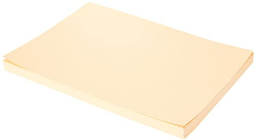 Tonpapier A4 Folia 100 Blatt 08 beige