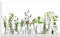 ARTLAND Spritzschutz Küchenrückwand Küche Herd Glas mit Motiv 100x60 cm Desgin Modern Kräuter Pflanzen Blumen Basilikum Lavendel Gewürze H9KE