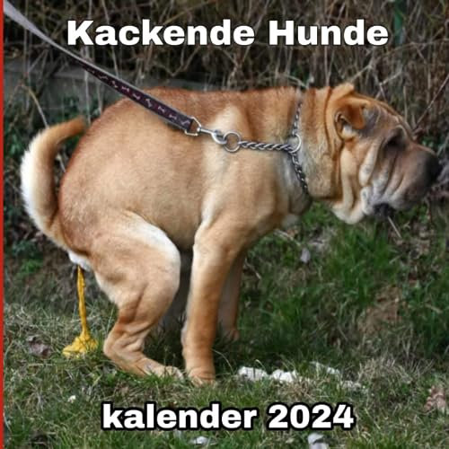 Kackende Hunde kalender 2024