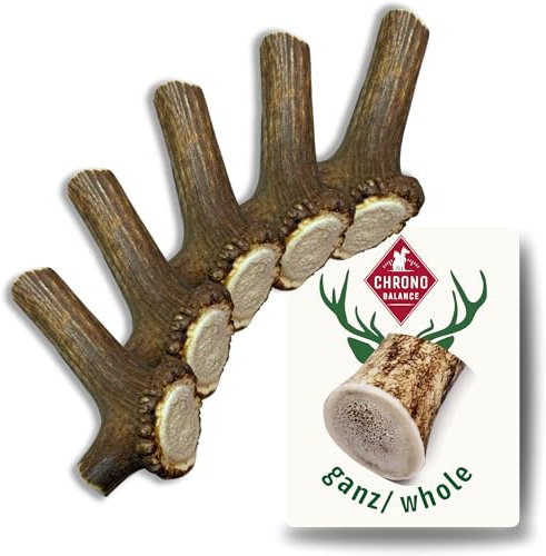 ChronoBalance® L Kaustange für Hunde ganze Stücke als Kauspielzeug: 100% Hirschgeweih für Hunde, Hundespielzeug, Leckerli Zahnpflege, Kausnack, Geweih Kauknochen, Natürlich ohne Zusätze (5er Set)