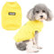 Zunea Hundepullover Wintermäntel für Kleine Hunde Warmer Fleece Sweater Weiche Pullover Jacke Mantel Fuzzy Welpen Kleidung Kaltes Wetter Weste Haustier Bekleidung für Chihuahua Yorkie Katzen Gelb XL