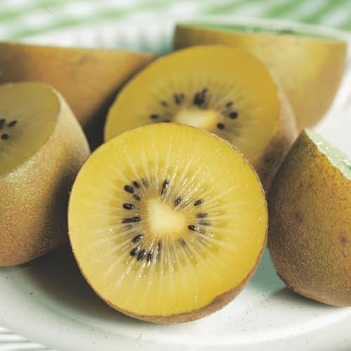 GreenboutiQ - Plante fruitière - Kiwi Jaune - Actinidia deliciosa Kiwi Doré - Fruit Jaune - 2 plantes - Pot 15cm Hauteur 50cm