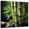 Feeby Impression sur toile - Bambou Zen oriental - decoration chambre - 40x40 cm - tableau decoration murale - decoration maison - Tableau Moderne - ART - poster mural