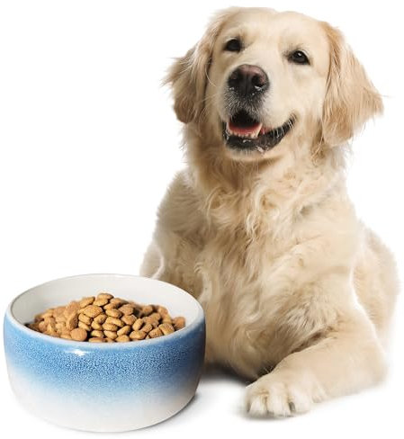 Byer of Maine Pet Bowl – High-Fired Porcelain Stoneware, Food-Grade Safe, Dishwasher Safe, Non-Slip Dog Bowl for Large Breeds in Best Friend Blue