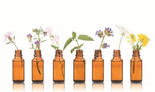 Moschusöl 1ml von Dragonspice Naturwaren