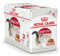 Royal Canin Instinctive Gravy | 12 x 85 g | Nassfutter für ausgewachsene Katzen | Kleine Stückchen in Soße | Zur Unterstützung eines gesundes Lebensstils
