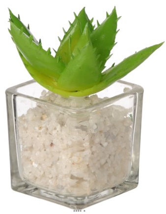 Artif-déco.com - Agave artificielle succulente cactée en pot verre et cailloux blanc - couleur: Vert 430 - div: D