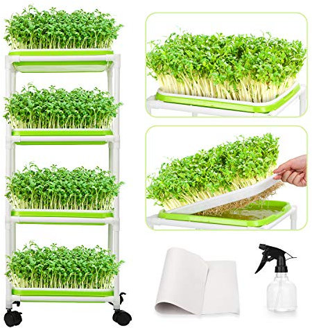 WADEO 4 Pezzi Germogliatore Fagiolo Soil-Free, Seed Sprouter Tray, Vaso per Germinazione Coltivatore di Frumento per Giardino Casa Ufficio, Verde