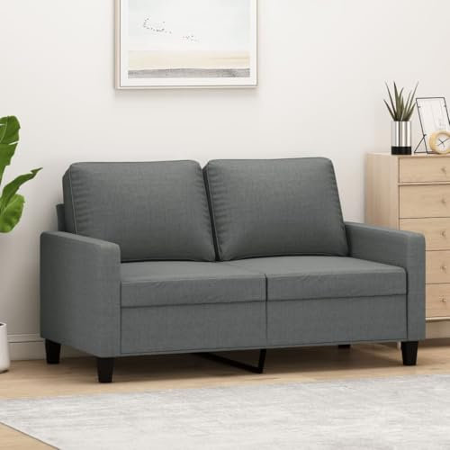 Xichuzi 2-Sitzer-Sofa Dunkelgrau 120 cm Stoff, Sofas & Couches, Sofa Wohnzimmer, Sofa Für Jugendzimmer, Relaxsofa, Sofa Für Schlafzimmer, Polstersofa - 359156