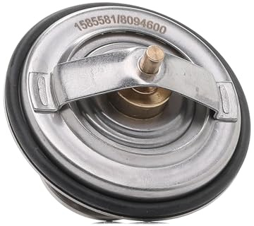 RIDEX 316T0010 Thermostat Kühlmittel Kühlwasserthermostat mit Dichtungen 87°C Kompatibel mit AUDI A6 Avant 4F5, C6 NCA2244BB 77121113D 75121113C