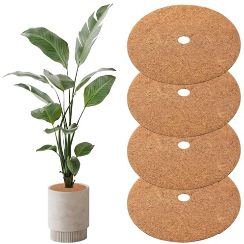 Peygre 4 Stück Kokosmatte, Schutz, 40cm | Wiederverwendbare Kokosfasermatte, Kokosscheibe, Pflanzenschutz, Frostschutz, für Pflanzen, Blumentöpfe, Außen, 40cm