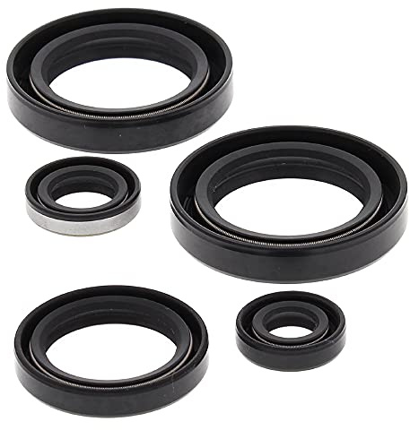 Winderosa 822244 Engine Oil Seal Kit