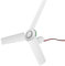 YOUTTOO Ventilatore da soffitto a energia solare DC 24 V con interruttore a 3 lame, Caravan Camp