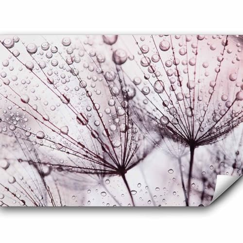murando Fototapete selbstklebend Pusteblume 196x140cm Foto Tapete Tapetenfolie Möbelfolie Wandverkleidung Wandtapete Motivtapeten Bildtapete Wohnzimmer 3d Effekt Natur Tau Blumen Wassertropfen grau
