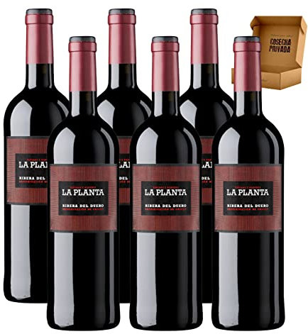 Arzuaga - Envío Gratis 24 H - Vino Tinto Ribera del Duero -Vino Regalo - Cosecha Privada (6 x Botella 75 cl, Roble - La Planta)