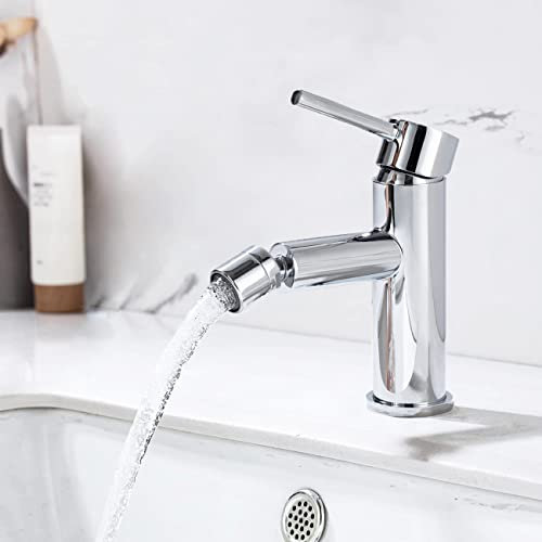 ONECE Robinet de Lavabo pour Salle de Bains, Mitigeur Lavabo en Acier Inoxydable Chromé, Robinet Monocommande pour Lavabo et Bidet avec Bec Orientable, Robinetterie Aérateur Démontable
