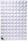 billerbeck Daunendecke | Nena | 200 x 200 cm | 100% Daunen | Optimale Wärme- und Feuchtigkeitsregulierung | Hausstaub-Allergiker geeignet | Sommerleicht