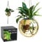 SCANDINORDICA Disco Ball Planter – Value Package: Mirror Disco Planter with Chain, Macrame Hanger and Acrylic Stand for Desk, includes Self Watering Pot, Plant Accessories | 10 inch Gold