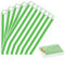 100 Stück Grün Naschitüten Candy Bar Papiertüten Klein Kraft Butterbrottüten Bunt 13x18cm Mini Geschenktüten Papiertüten Bunte Tüten Candybar brotpapiertüten für Halloween,Weihnachten,Hochzeiten
