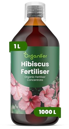 Engrais Liquide Pour Hibiscus - NPK 2-1-8 | Feuilles Saines Et Floraison Abondante - Stimule Racines Et Vitalité - 1L - Organifer