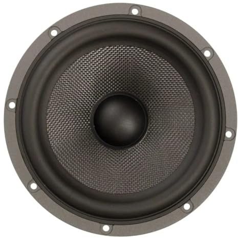 DLS Scandinavia CD-SCAND-165-16,5 cm Tiefmitteltöner-Lautsprecher mit 400 Watt (RMS: 200 Watt)